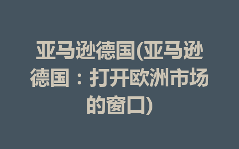 亚马逊德国(亚马逊德国：打开欧洲市场的窗口)