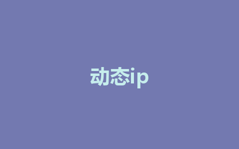 动态ip