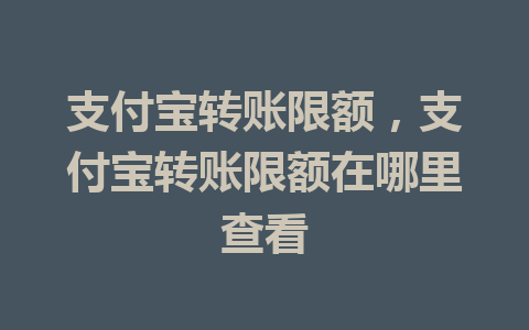 支付宝转账限额，支付宝转账限额在哪里查看