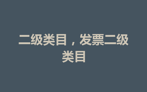 二级类目，发票二级类目